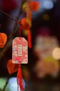 xì dách trực tuyến Nohu